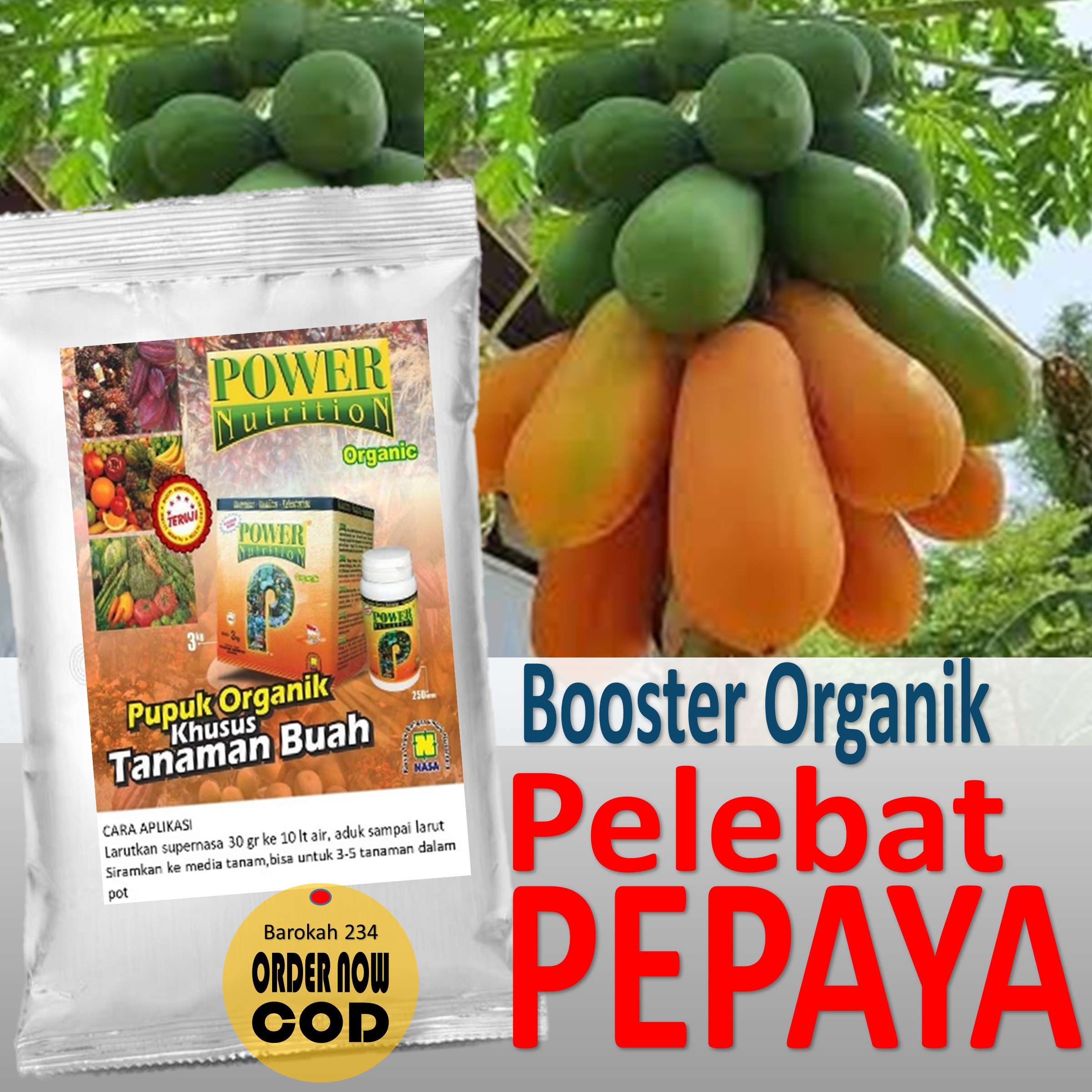 Pupuk Pepaya Organik Booster Gr Agar Cepat Berbuah Pupuk Penyubur