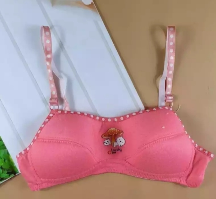 Hello Kitty Bra Adult