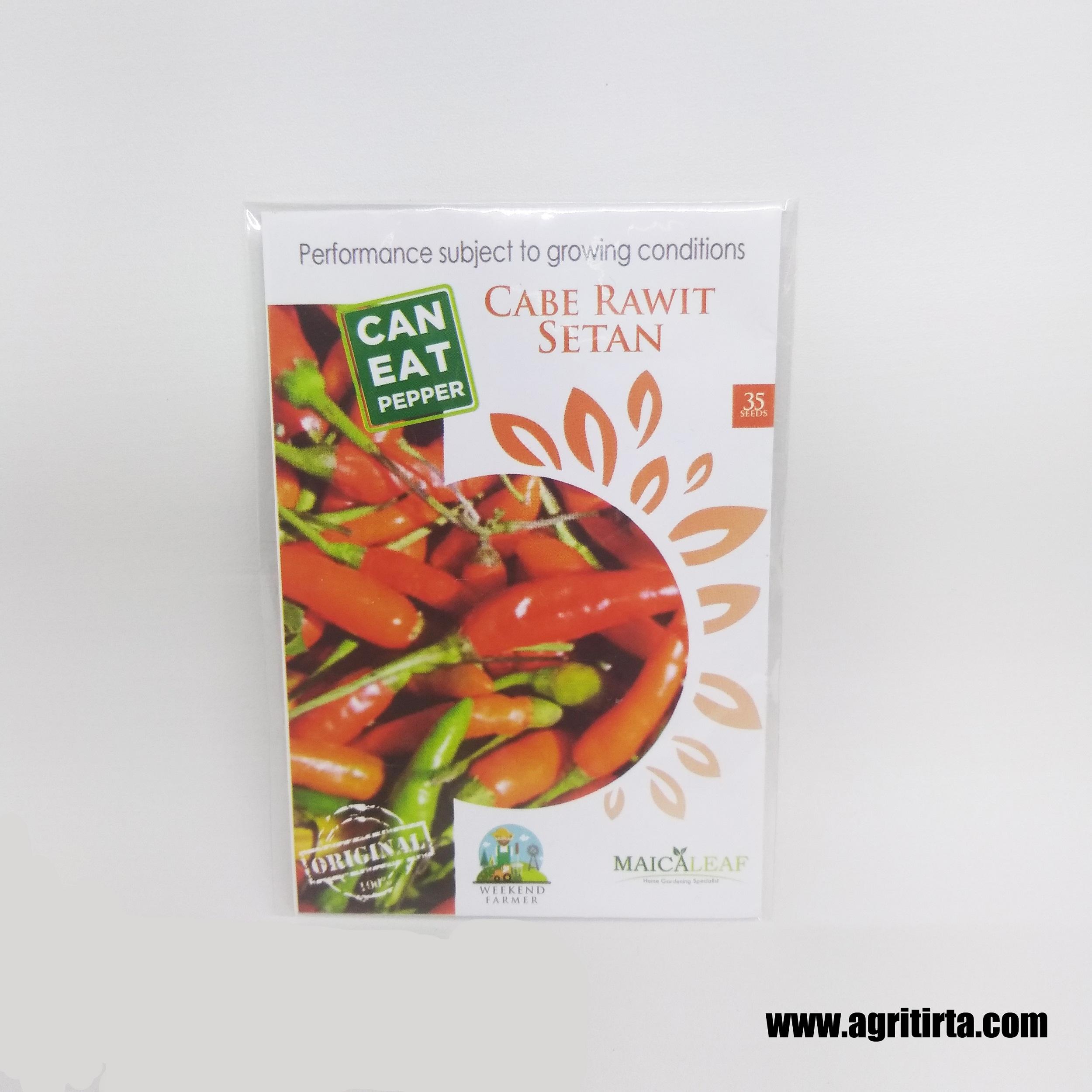 BENIH BIBIT BIJI CABAI CABE RAWIT SETAN MERAH PALING PEDAS MAICA LEAF
