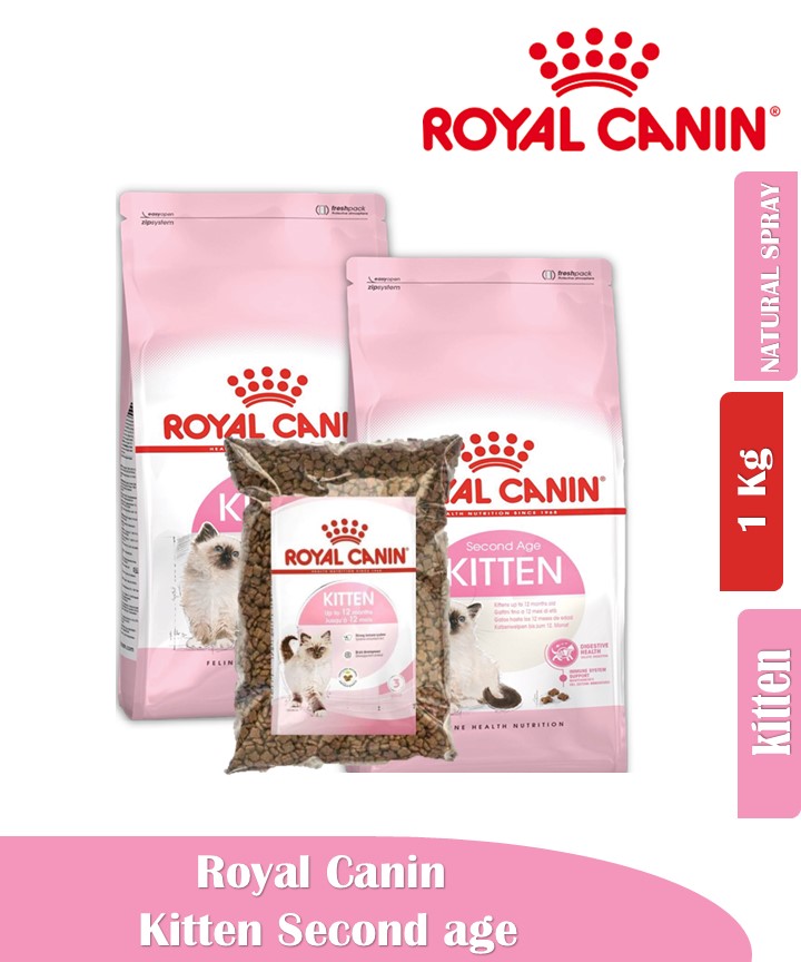 ROYAL CANIN KITTEN Second Age Non Freshpack Royal Canin Kitten