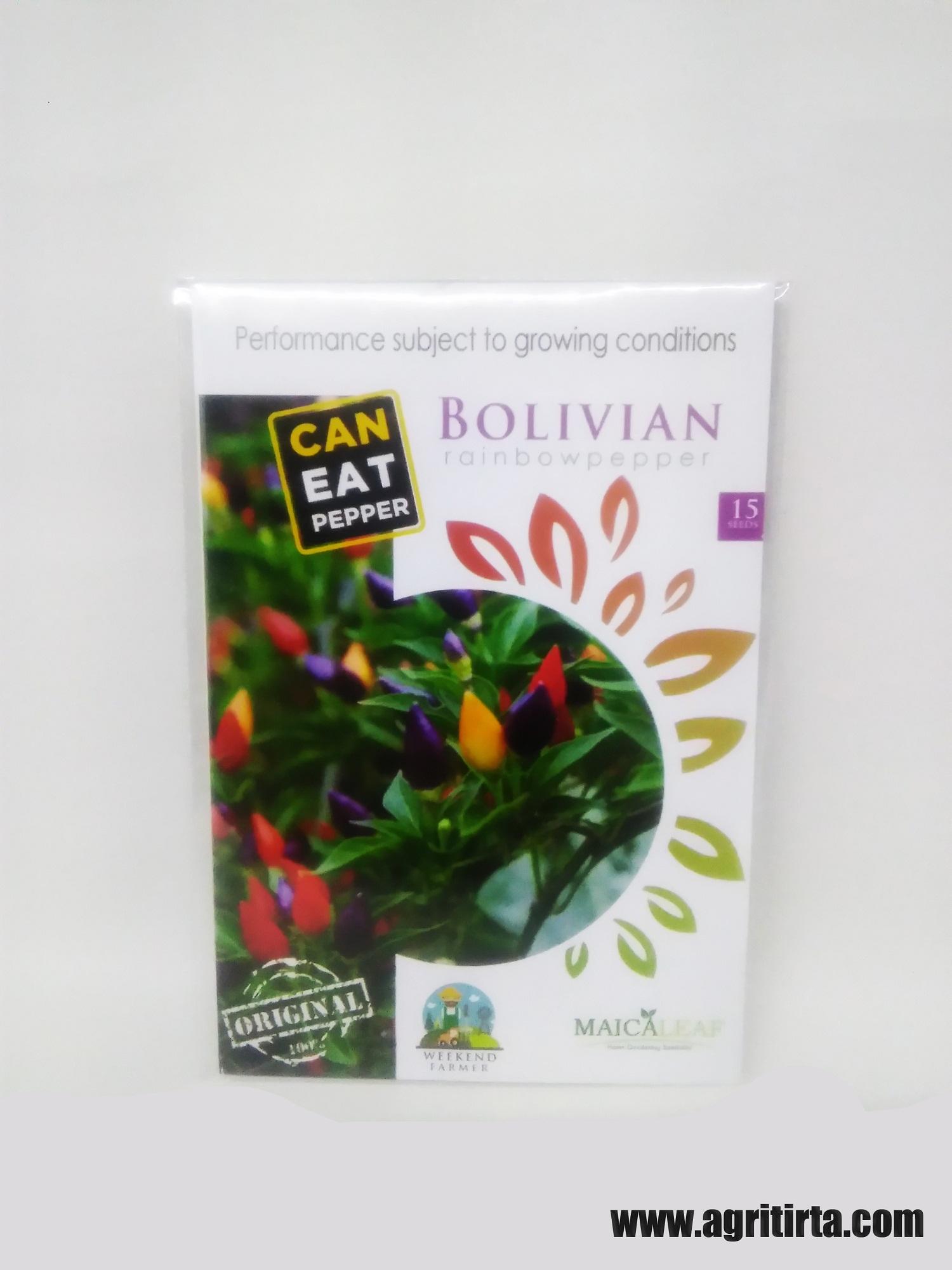 BENIH BIBIT CABE CABAI HIAS PELANGI BOLIVIAN RAINBOW PEPPER MAICA LEAF
