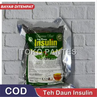 obat diabetes yang palidez ampuh atasi
