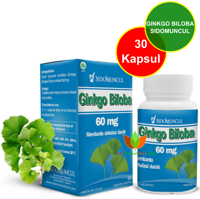 GINKGO BILOBA SIDOMUNCUL 30 KAPSUL, OBAT GINKO GILOBA SUPLEMEN HERBAL ...