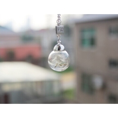 25mm Buatan Tangan Asli Tanaman Liar Berbunga Kuning Cerah Biji Berharap Botol Kalung (Perak)-Intl