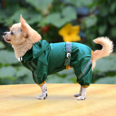 Amart Anak Anjing Peliharaan Keren Jas Hujan Tahan Air jas Hujan Berkaca-kaca Bar kerudung Pakaian (Hijau XL)-International