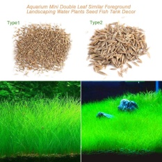 【Inventaris nyata】Aquarium Benih Tanaman Aquatic Rumput Air Hiasan Seperti Tangki Ikan Ikan Latar Depan Tanaman Spesifikasi #1 - intl