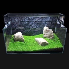 Bibit Tumbuhan Akuarium Rumput Air Akuatik Biji Tanaman Indoor Tanaman Hias-Intl