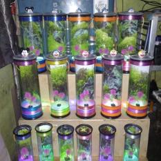 Aquarium Tabung Mini Mika Diameter 11.5cm tinggi 27 cm