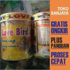Baby Lovebird Pakan Love Bird Anakan Lolohan - Sejenis Nutribird A21