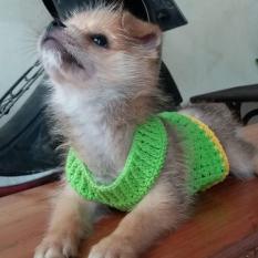Baju Sweater Rajutan untuk Puppy atau Baby Bayi Anjing umur 1 - 2 bulan Jenis Ukuran Kecil
