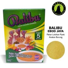 Balibu Ebod Jaya Pakan Bubur Burung Anakan Piyek Burung Lovebird Lolohan Spet