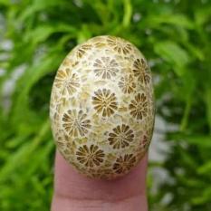 Batu Akik Motif Bunga Teratai