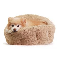Best Friends by Sheri OrthoComfort Deep Dish Cuddler in Sherpa.Beige. xx12