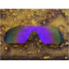 BOTT Penggantian Lensa untuk Radar Edge Sunglasses Polarized Purple-Intl