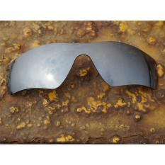 BOTT Penggantian Lensa untuk Radar Path Sunglasses Polarized Silver Buatan-Internasional