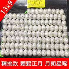 Bulan atau Bintang 13X9 Wol Bahan Tasbih Manik-manik Bentuk Barel Kalung Gelang Manik