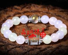 Tsai Fu Konsekrasi Penyu Gelang