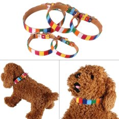 Hewan Peliharaan Kucing Anjing Leash Collar Dapat Memimpin Rainbow Colorful Leher Buckle Strap (XXL)-Intl