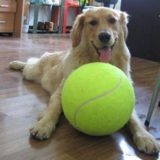 Anjing Puppy Bola Tenis Big Giant Pelempar Chucker Launcher Bermain Traintoy Treat-Intl