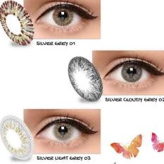 Exoticon X2 ice gold silver softlens- light grey 03 (normal)