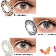 Exoticon X2 ice gold silver softlens-silver grey 01 (normal)