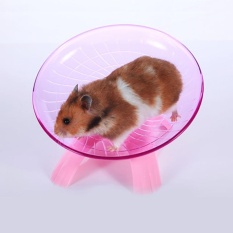 Piring Terbang Roda Latihan untuk Hewan Peliharaan Kecil, 18 Cm/7.09 Inch Hamster Menjalankan Disc, Kenyamanan Pet Mainan Warna: Pink Keterangan: 18*18*11 Cm-Intl