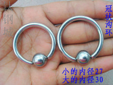 Frank Titanium Pa 环固 Baik Anting