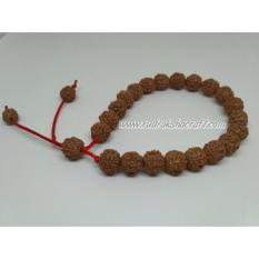 Gelang Genitri Jenitri Rudraksha