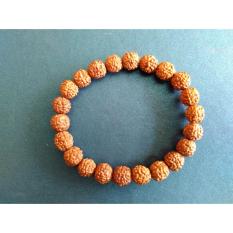 Gelang Genitri Jenitri Rudraksha Asli