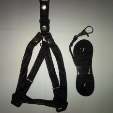 Harness Y uk S + Leash Hitam untuk Kucing, Kelinci, Musang, Puppy Small breed