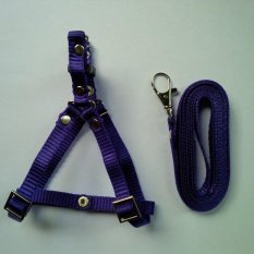 Harness Y uk S + Leash Ungu Tua untuk Kucing, Kelinci, Musang, Puppy Small breed