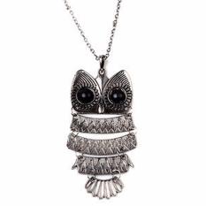 Hequ Baru Chic Fashion Vintage Besar Tembaga Perunggu Hadiah Photo: Retro Rantai Panjang Liontin Kalung Burung Hantu Perak- Internasional