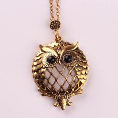 Hequ New Design Antique Gold Chain Pendant Necklace Magnifying Glass Necklace Owl Pendant Necklace Retro Bijoux For Gold - intl
