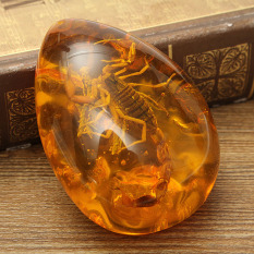 Serangga Inklusi Kalajengking Batu Amber Baltik Liontin Kalung 6,1 Cm X 4,32 Cm X 1,52 Cm-Internasional