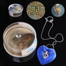 Jewelry Love Best Wish Pearl Oyster Drop Pendant Necklace Valentine's Day - intl