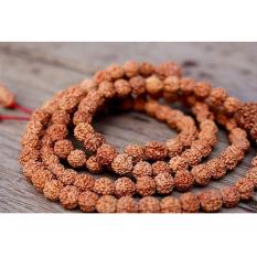 Rudraksha mukhi Kalung Jenitri Kalung Genitri Kalung Kesehatan Kalung Terapi Kalung Ion Elektromagnetik Alami Biji Jenitri/Bodhi Rudraksha Original