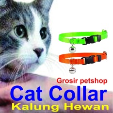 kalung kucing dan anjing