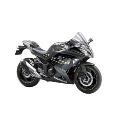 Kawasaki Ninja 250 ABS SE LTD Sepeda Motor - Grey (OTR JADETABEK)