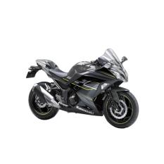 Kawasaki Ninja 250 ABS SE LTD Sepeda Motor - Grey (OTR BOGOR)