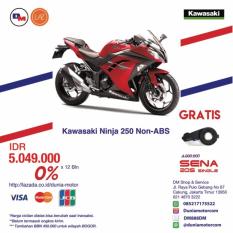 Kawasaki Ninja 250 Non ABS
