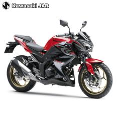 Kawasaki Z 250 ABS