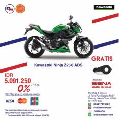 Kawasaki Z250 ABS