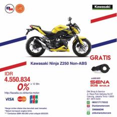 Kawasaki Z250 NON ABS