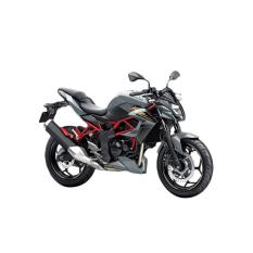 Kawasaki Z250 SL ABS Sepeda Motor - Grey (OTR JADETABEK)