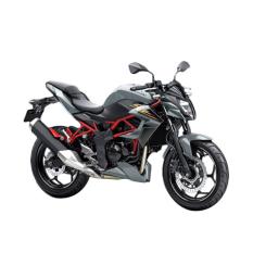 Kawasaki Z250 SL ABS Sepeda Motor - Grey ( OTR JADETABEK )
