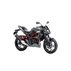 Kawasaki Z250SL ABS Sepeda Motor - Silver (OTR JADETABEK)