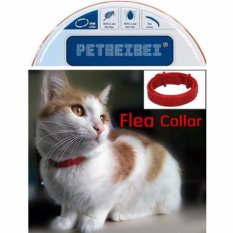 Membunuh Flea & Tick Collar untuk Cat Pet Supplies Produk Adjustable untuk Anjing Kecil Kerah Kutu-Intl