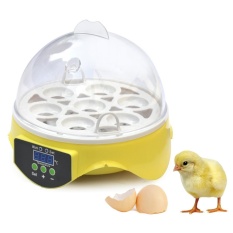 Mini 7 Egg Incubator Poultry Incubator Brooder Digital Temperature Hatchery Machine Hatcher for Chicken Duck Bird Pigeon - intl
