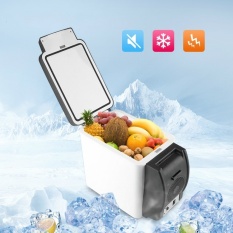 Mini Kulkas Mobil 12 V 6L Auto Travel Kulkas ABS Home CoolerFreezer Warmer Portable Multi-Fungsi Anti-Rotten Tetap Tenang Petisejuk Kereta Kulkas Mobil-Intl