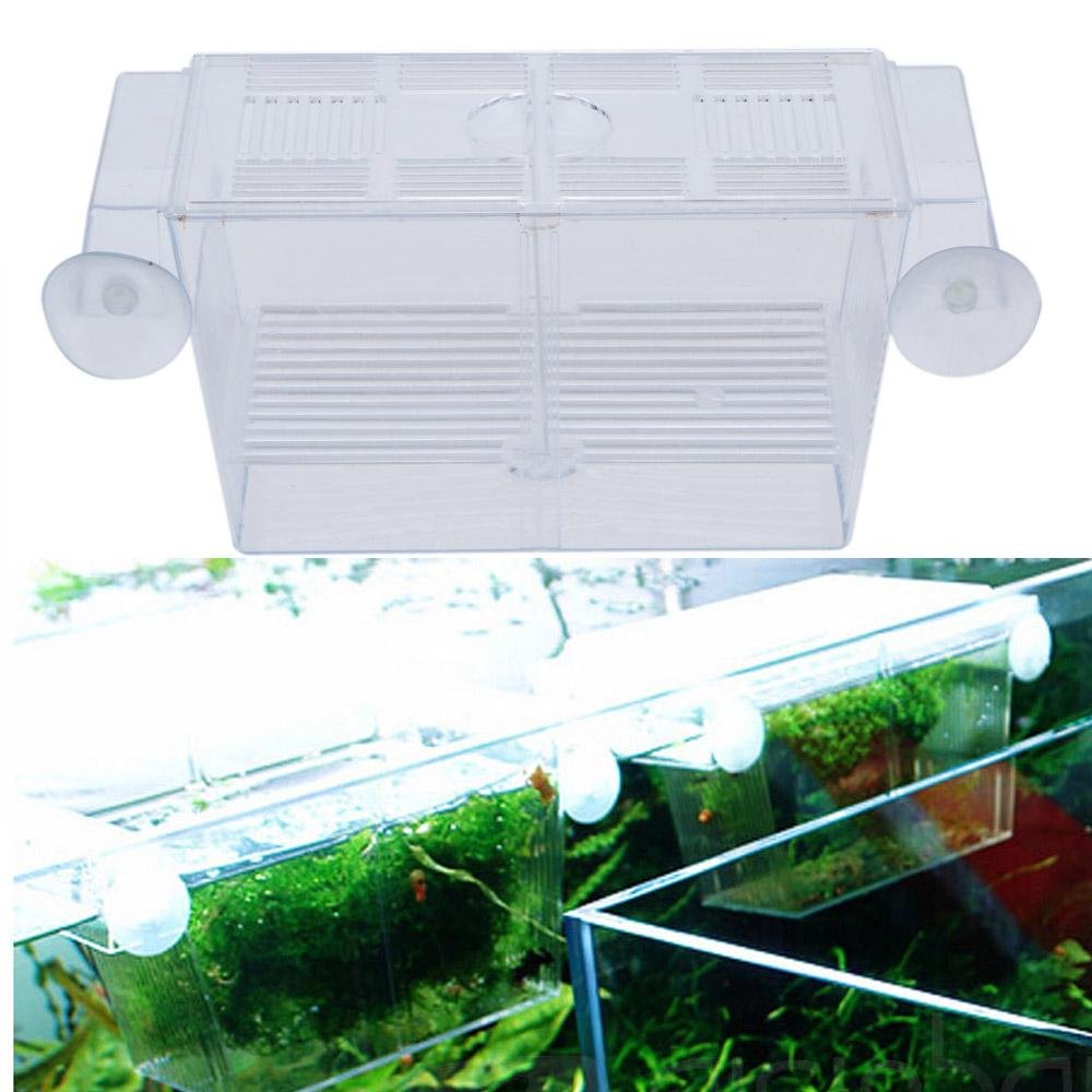 Multifungsi Akuarium Fish Breeding Isolation Box Tank Divider Inkubator untuk Pembibitan Ikan Tangki Goreng Aksesori-Intl